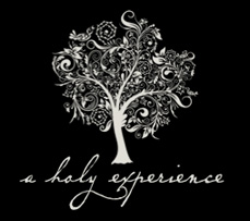 aholyexperience-logo